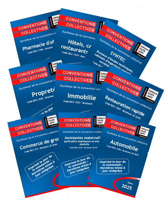Livres synthèses convention collective